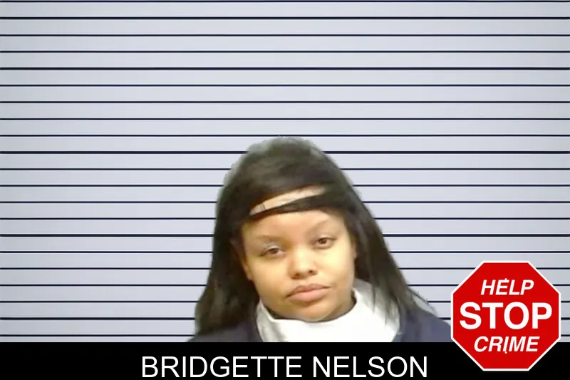 Bridgette Nelson mugshot – Fulton County , Georgia Bridgette Nelson mugshot