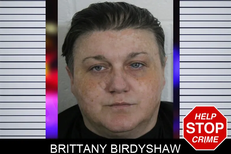Brittany Birdyshaw mugshot – Floyd County , Georgia Brittany Birdyshaw mugshot