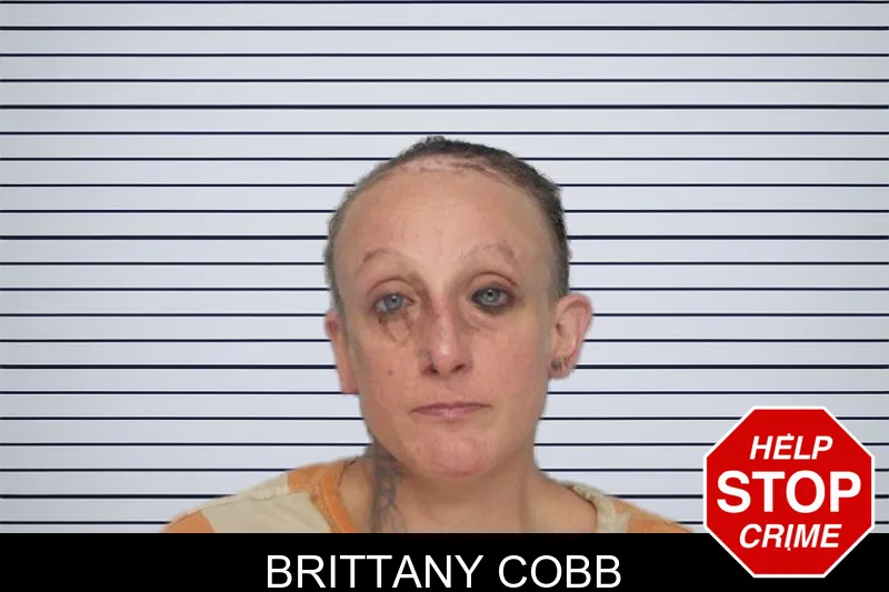 Brittany Cobb mugshot – Hall County , Georgia Brittany Cobb mugshot