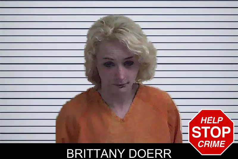 Brittany Doerr mugshot
