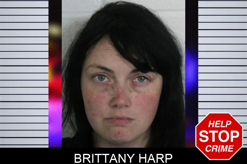 Brittany Harp mugshot – Floyd County , Georgia Brittany Harp mugshot