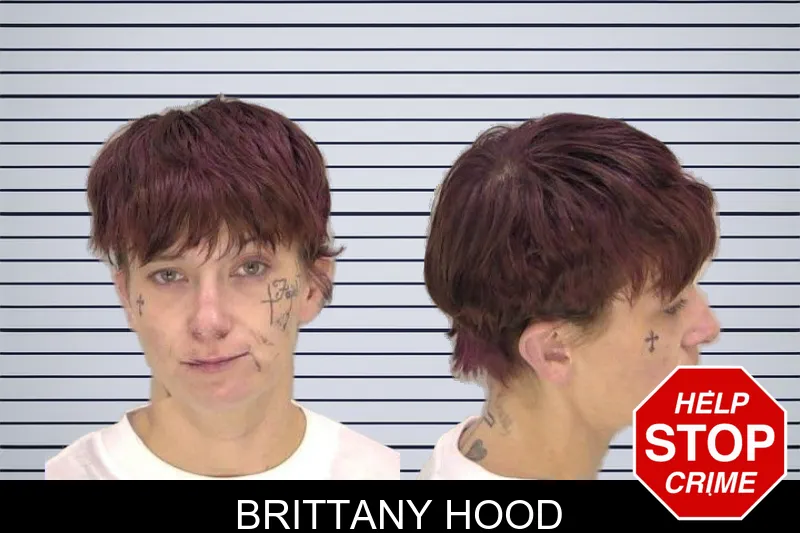 Brittany Hood mugshot