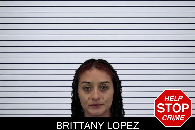 Brittany Lopez mugshot – Hart County , Georgia Brittany Lopez mugshot
