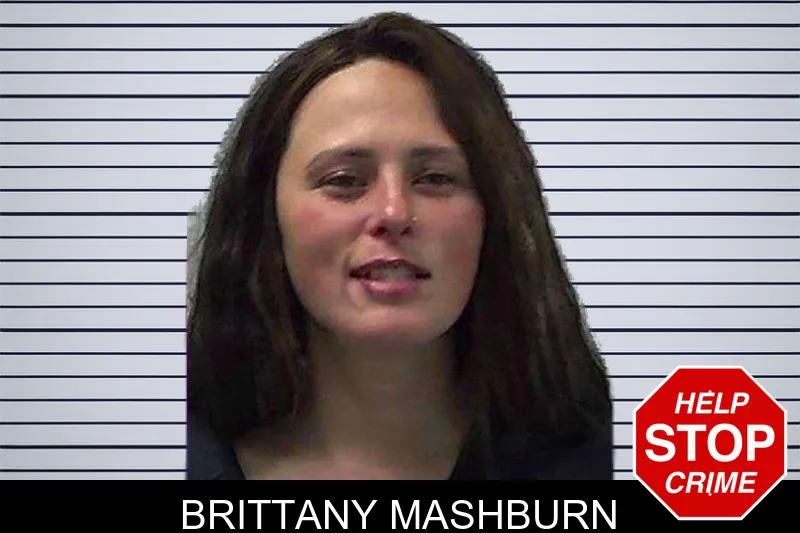 Brittany Mashburn mugshot – Gilmer County , Georgia Brittany Mashburn mugshot