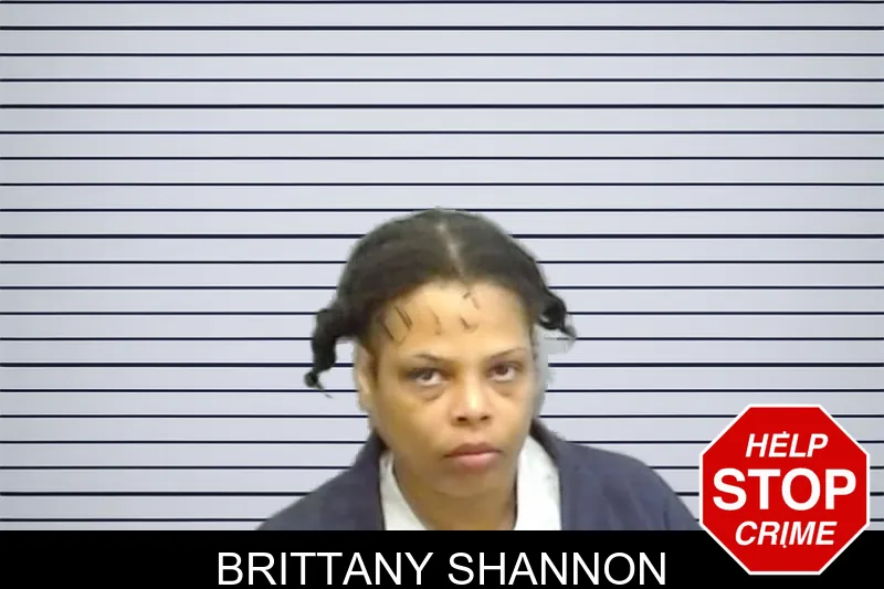 Brittany Shannon mugshot