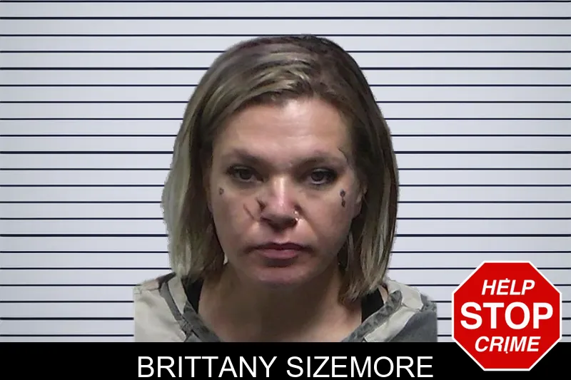 Brittany Sizemore mugshot – Tift County , Georgia Brittany Sizemore mugshot
