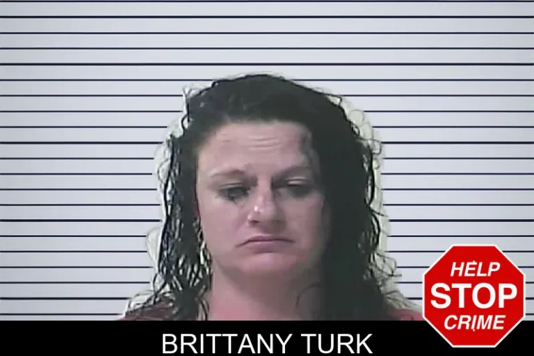 Brittany Turk mugshot – Oconee County , Georgia Brittany Turk