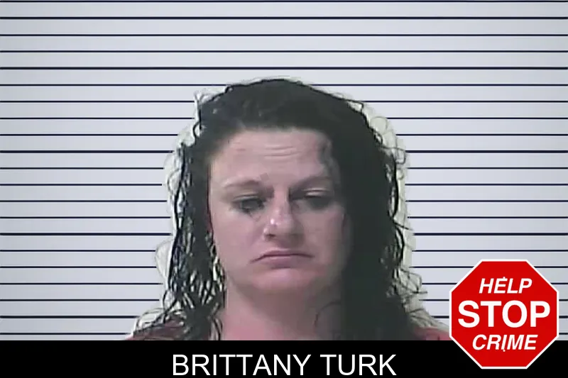 Brittany Turk mugshot – Oconee County , Georgia Brittany Turk mugshot