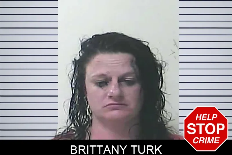Brittany Turk mugshot