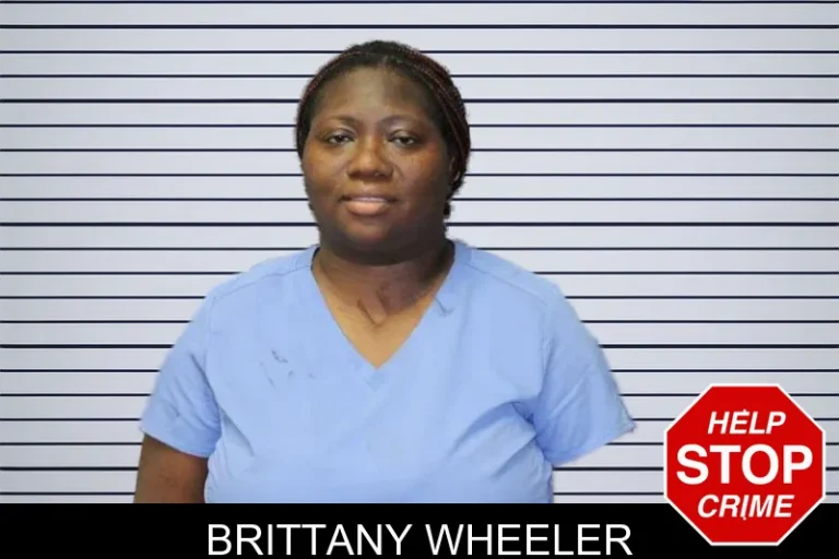 Brittany Wheeler mugshot – Thomas County , Georgia Brittany Wheeler