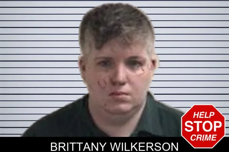Brittany Wilkerson mugshot – Henry County , Georgia Brittany Wilkerson