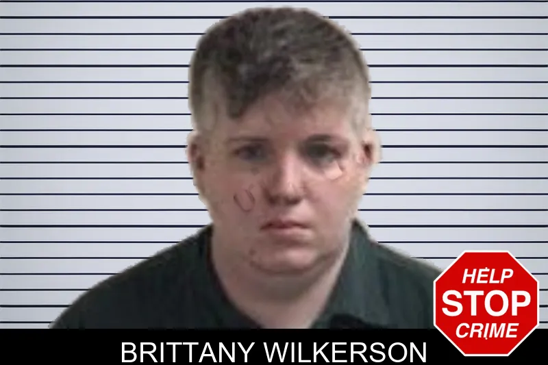 Brittany Wilkerson mugshot – Henry County , Georgia Brittany Wilkerson mugshot