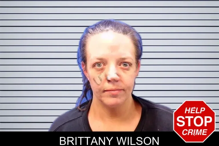 Brittany Wilson mugshot – Troup County , Georgia Brittany Wilson