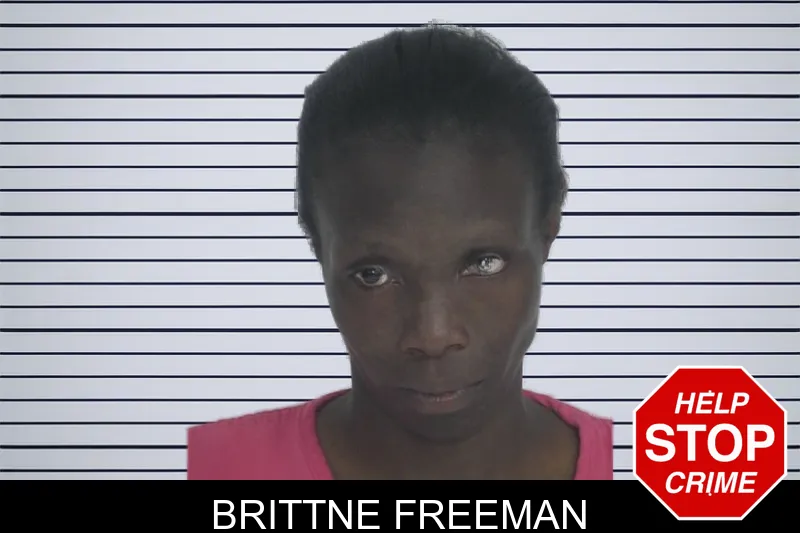 Brittne Freeman mugshot