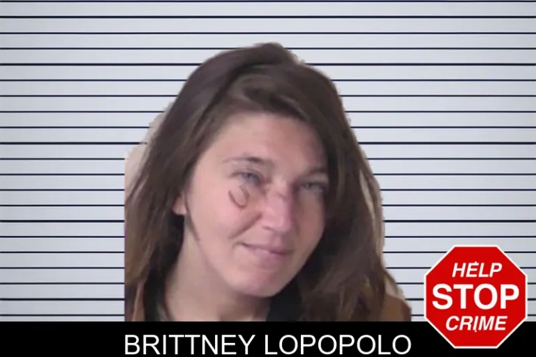 Brittney Lopopolo mugshot – Walker County , Georgia Brittney Lopopolo