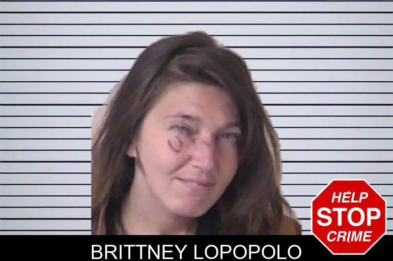 Brittney Lopopolo mugshot – Walker County , Georgia Brittney Lopopolo mugshot