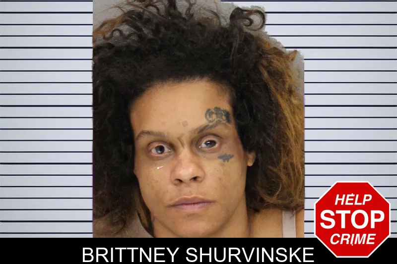 Brittney Shurvinske mugshot – Cobb County , Georgia Brittney Shurvinske mugshot