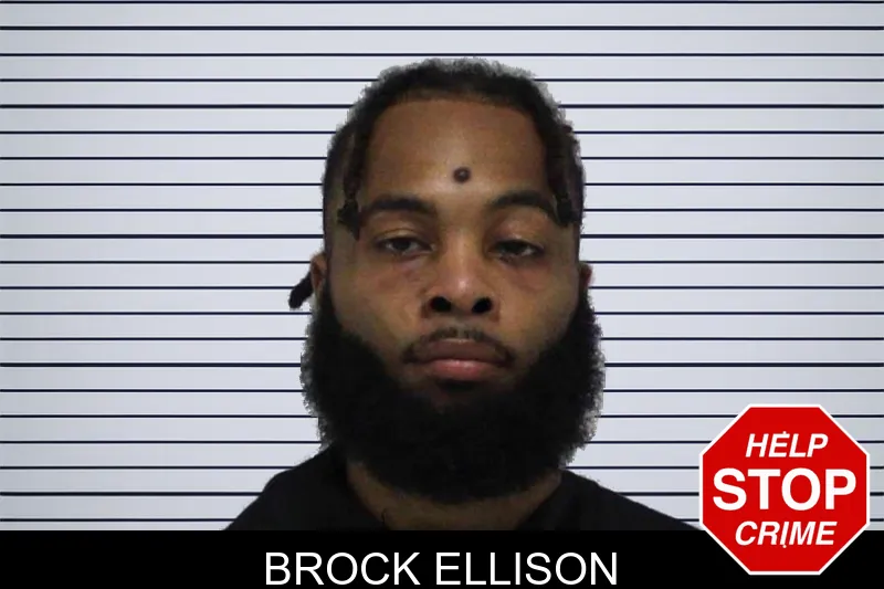 Brock Ellison mugshot