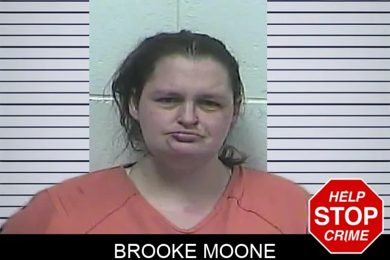 Brooke Moone mugshot – Dawson County , Georgia Brooke Moone