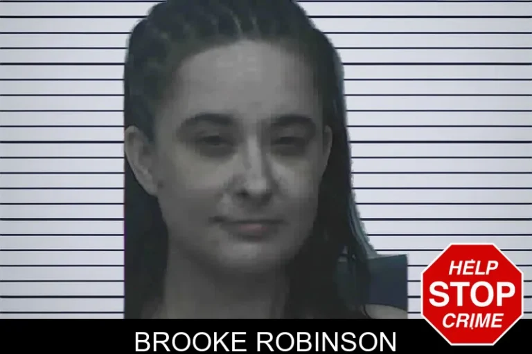 Brooke Robinson mugshot – Lanier County , Georgia Brooke Robinson