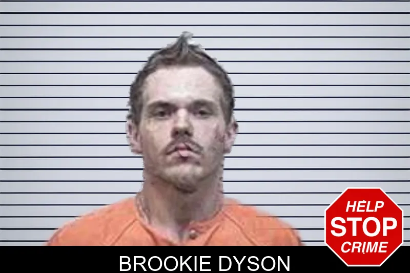 Brookie Dyson mugshot – Tattnall County , Georgia Brookie Dyson mugshot