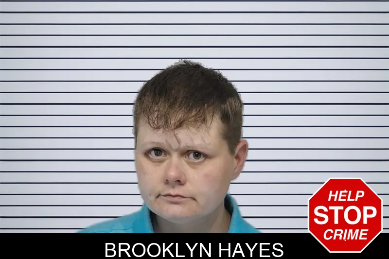 Brooklyn Hayes mugshot – Bibb County , Georgia Brooklyn Hayes mugshot