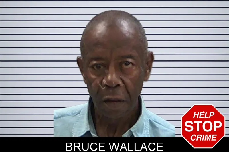 Bruce Wallace mugshot