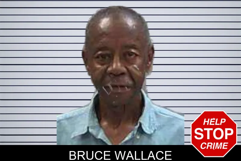 Bruce Wallace mugshot