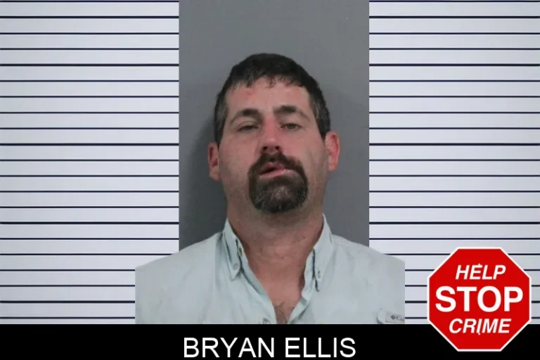 Bryan Ellis