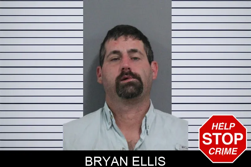 Bryan Ellis mugshot