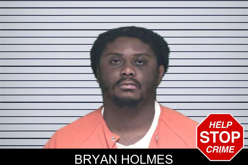 Bryan Holmes mugshot – Appling County , Georgia Bryan Holmes mugshot