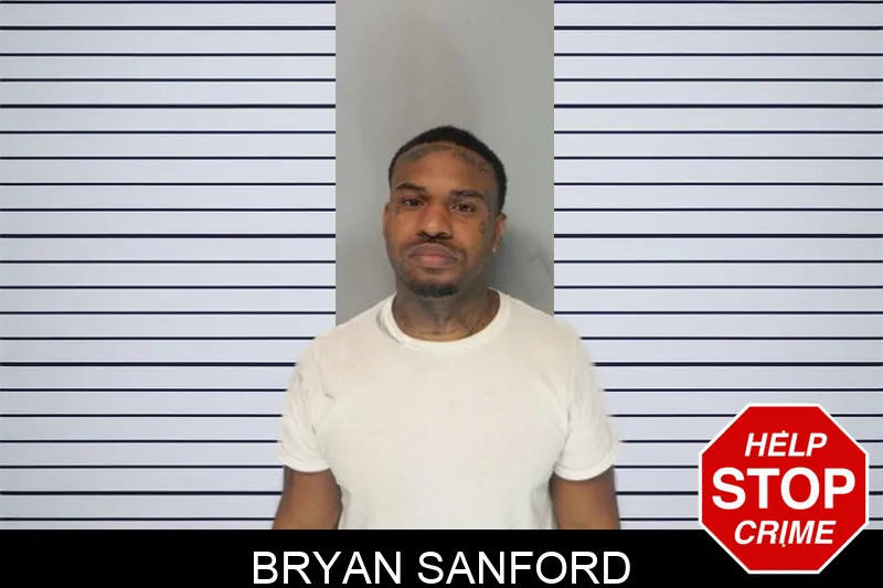 Bryan Sanford mugshot – Hall County , Georgia Bryan Sanford mugshot