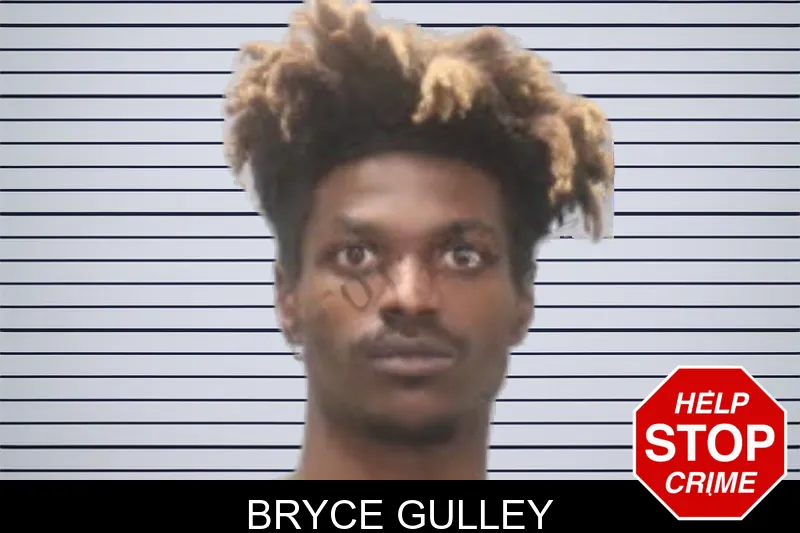 Bryce Gulley mugshot – Muscogee County , Georgia Bryce Gulley mugshot