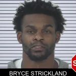 Bryce Strickland mugshot