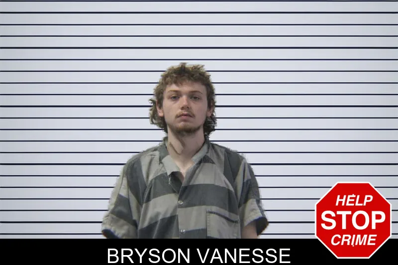 Bryson Vanesse mugshot – Stephens County , Georgia Bryson Vanesse mugshot