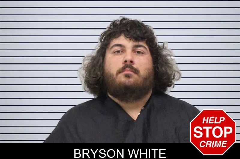 Bryson White mugshot – Carroll County , Georgia Bryson White mugshot