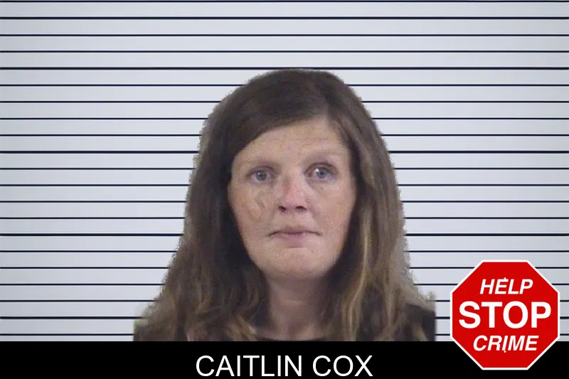 Caitlin Cox mugshot – Whitfield County , Georgia Caitlin Cox mugshot