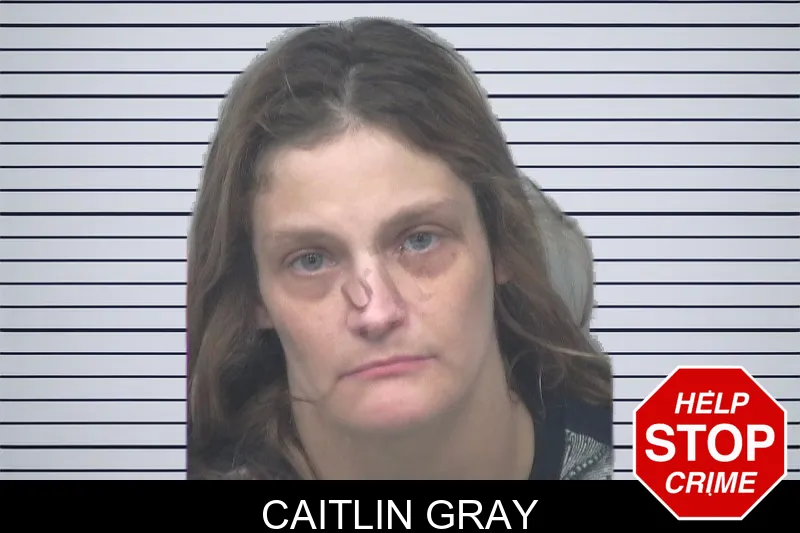 Caitlin Gray mugshot – Gwinnett County , Georgia Caitlin Gray mugshot