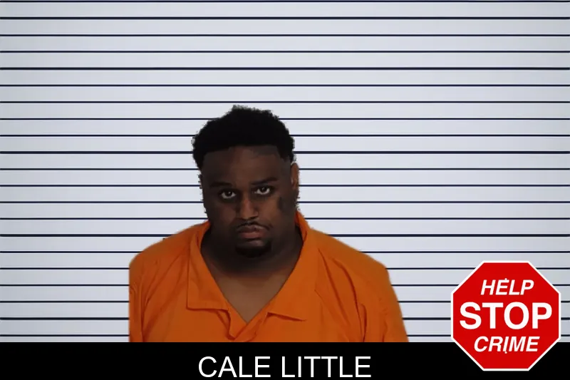 Cale Little mugshot