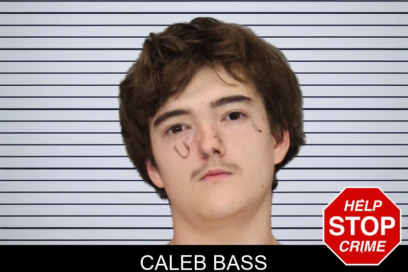 Caleb Bass mugshot – Cobb County , Georgia Caleb Bass mugshot
