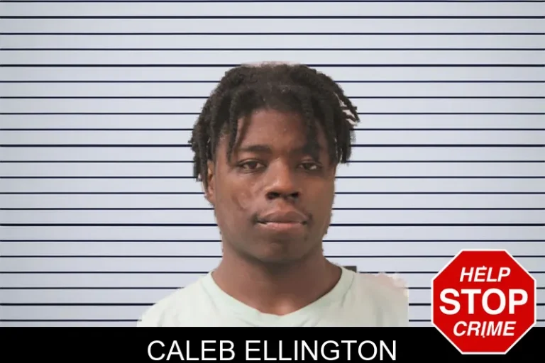 Caleb Ellington mugshot – Toombs County , Georgia Caleb Ellington