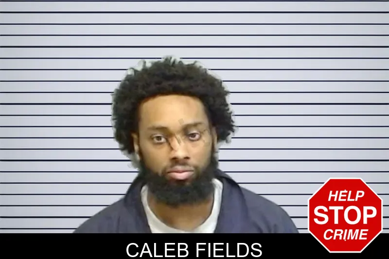 Caleb Fields mugshot – Fulton County , Georgia Caleb Fields mugshot