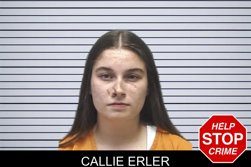 Callie Erler mugshot – Cherokee County , Georgia Callie Erler mugshot