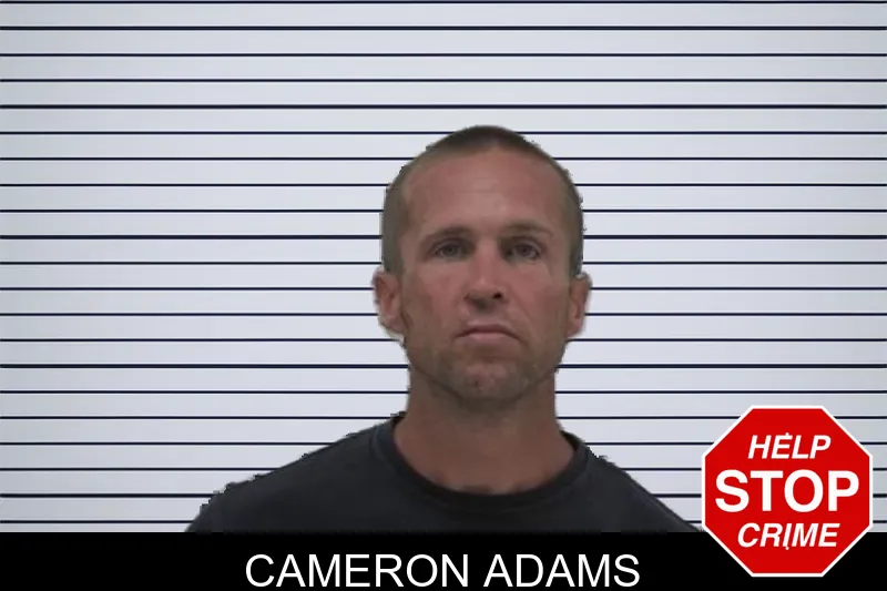Cameron Adams mugshot