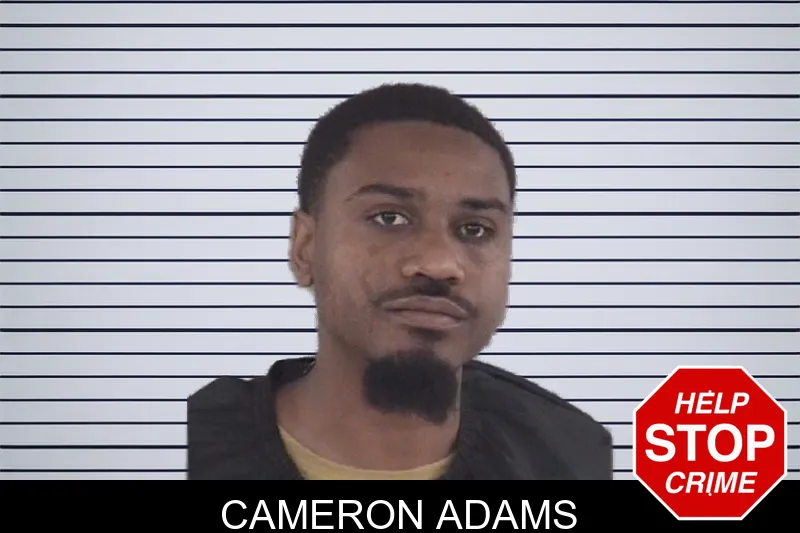 Cameron Adams mugshot
