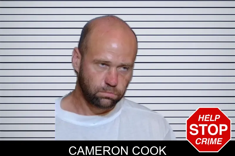 Cameron Cook mugshot