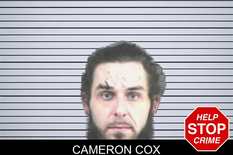 Cameron Cox mugshot