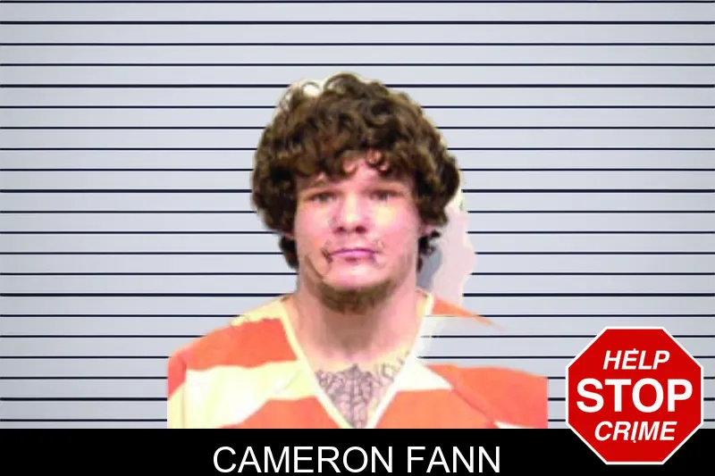 Cameron Fann mugshot – Bartow County , Georgia Cameron Fann mugshot