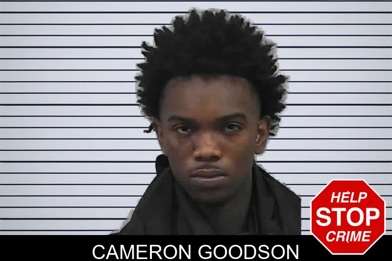 Cameron Goodson mugshot – Butts County , Georgia Cameron Goodson mugshot