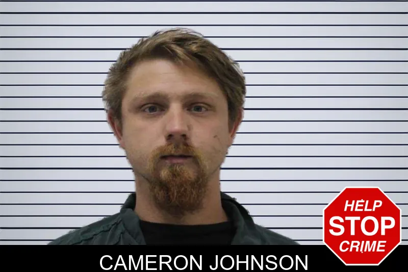 Cameron Johnson mugshot